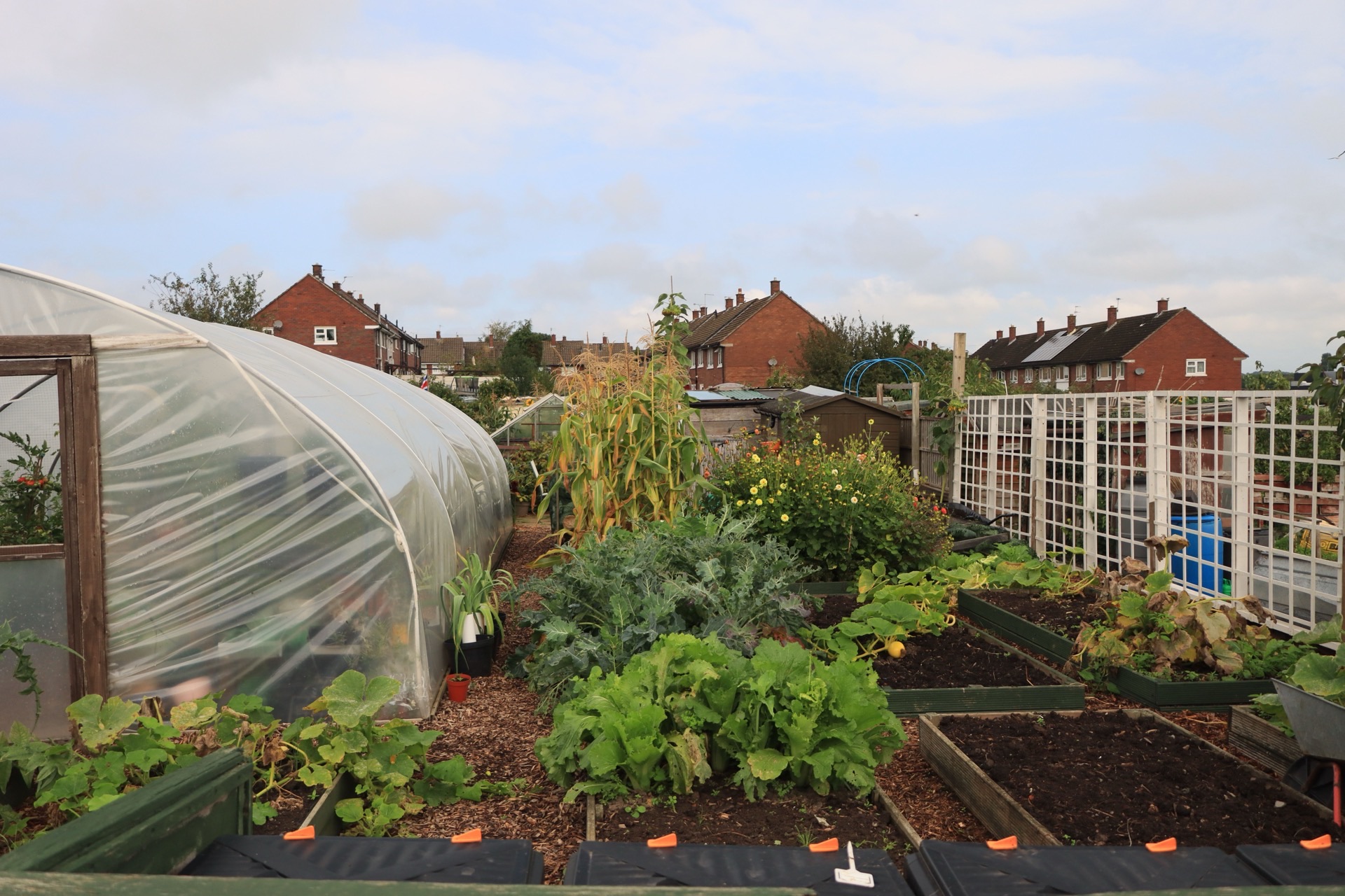 Jardin et potager