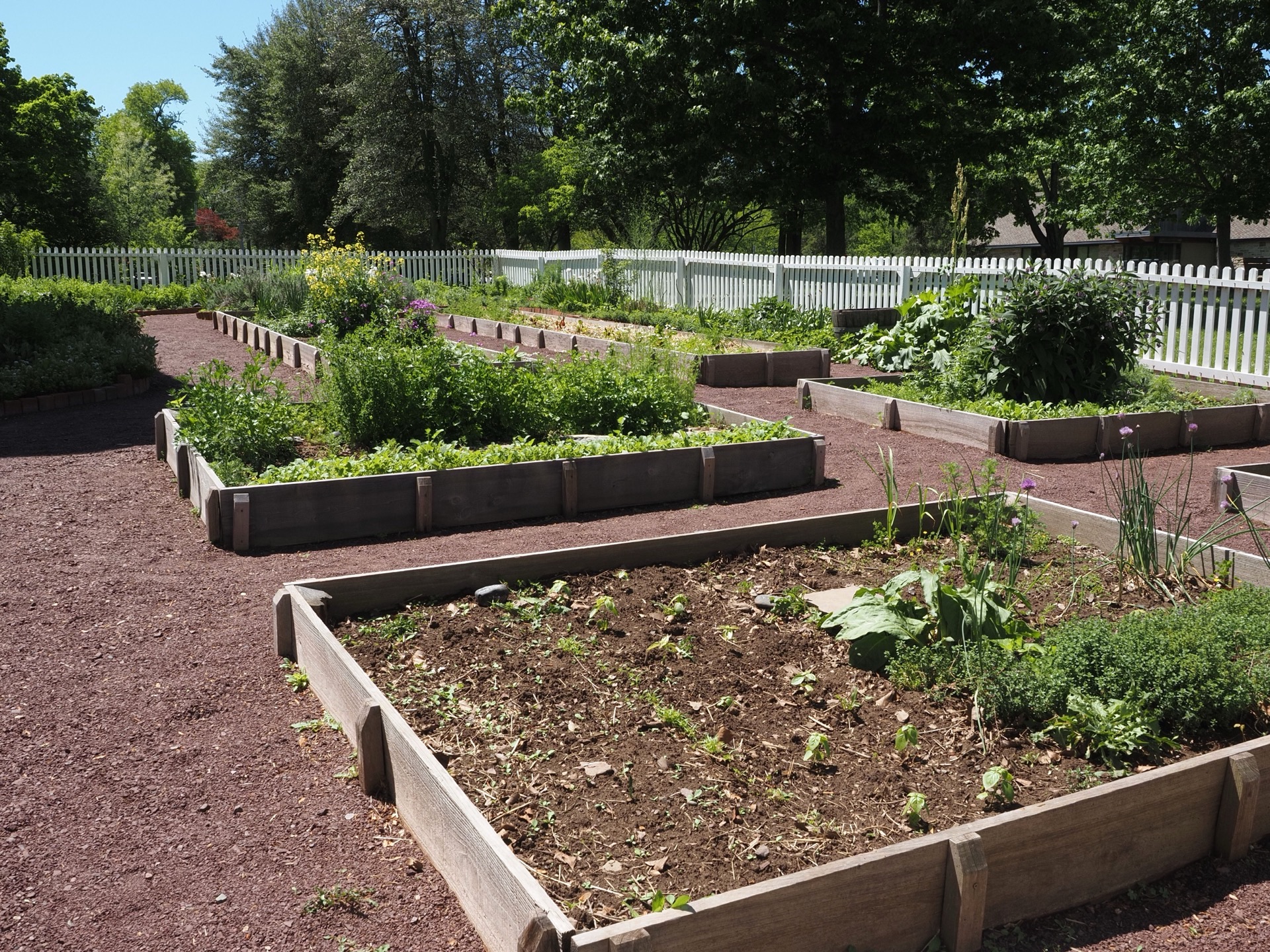 avis-clients-jardin