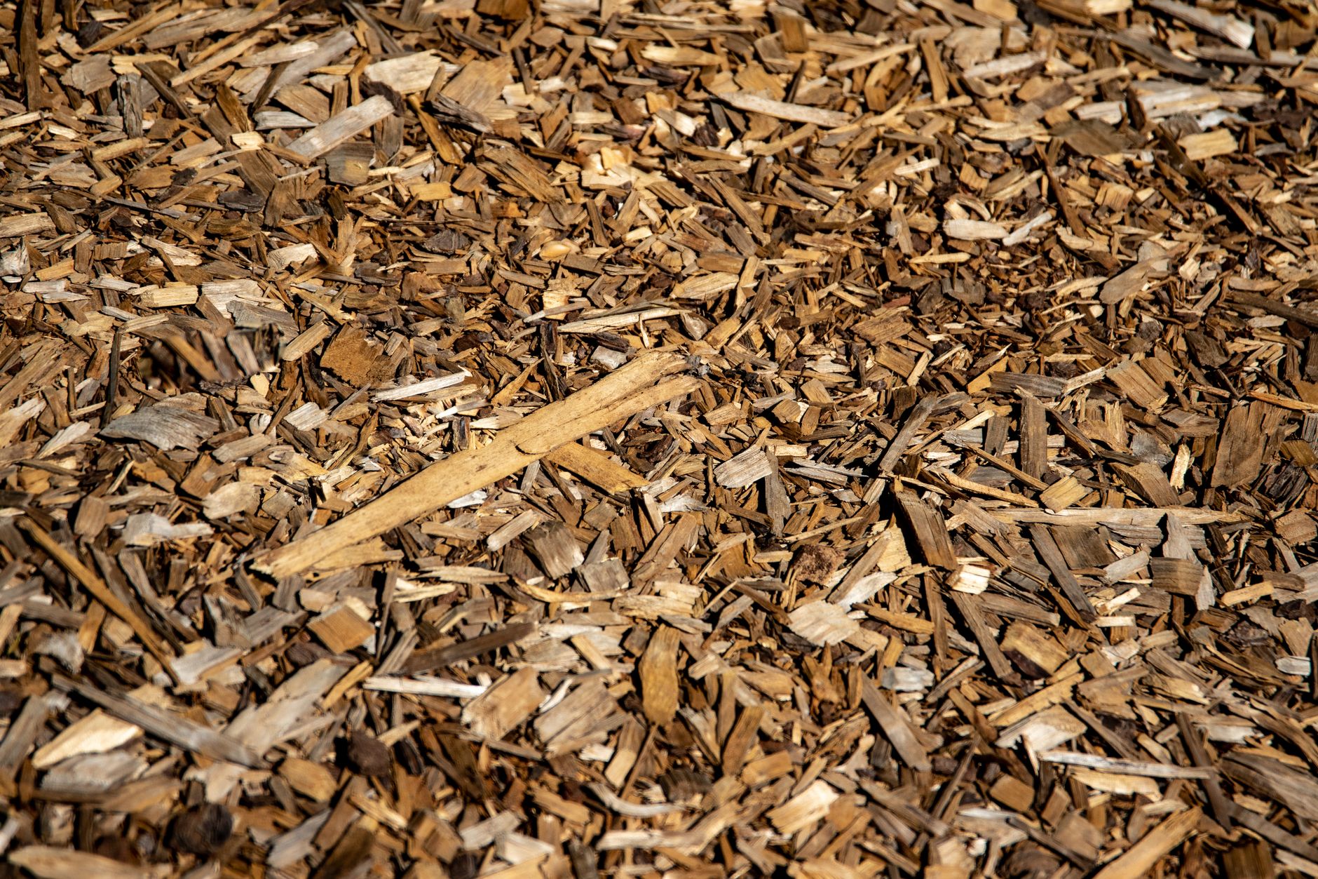 Où trouver du paillage gratuit — paillage organique dans le jardin