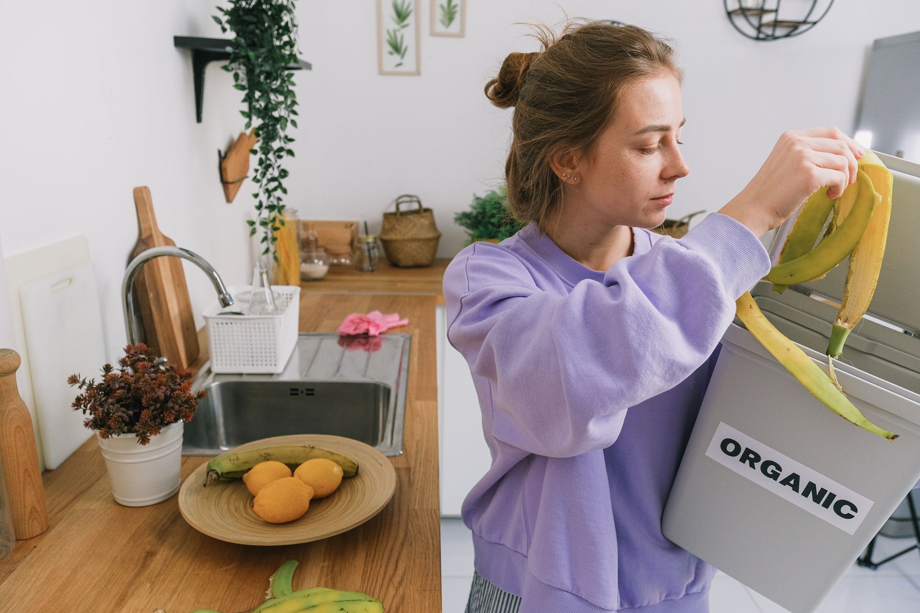 Que mettre dans le compost — bac à compost avec déchets de cuisine