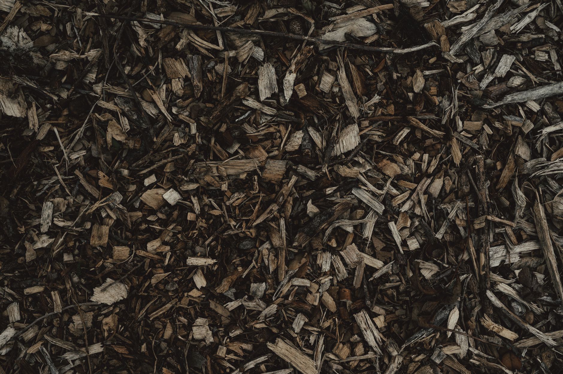 Combien de temps dure vraiment le compostage selon le type de compost voulu ? — tas de compost avec légumes et feuilles