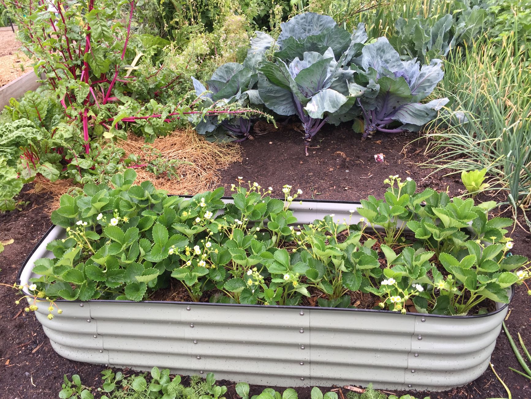 Bien choisir l’emplacement et la hauteur du potager surélevé avant de penser au remplissage — potager surélevé rempli par couches