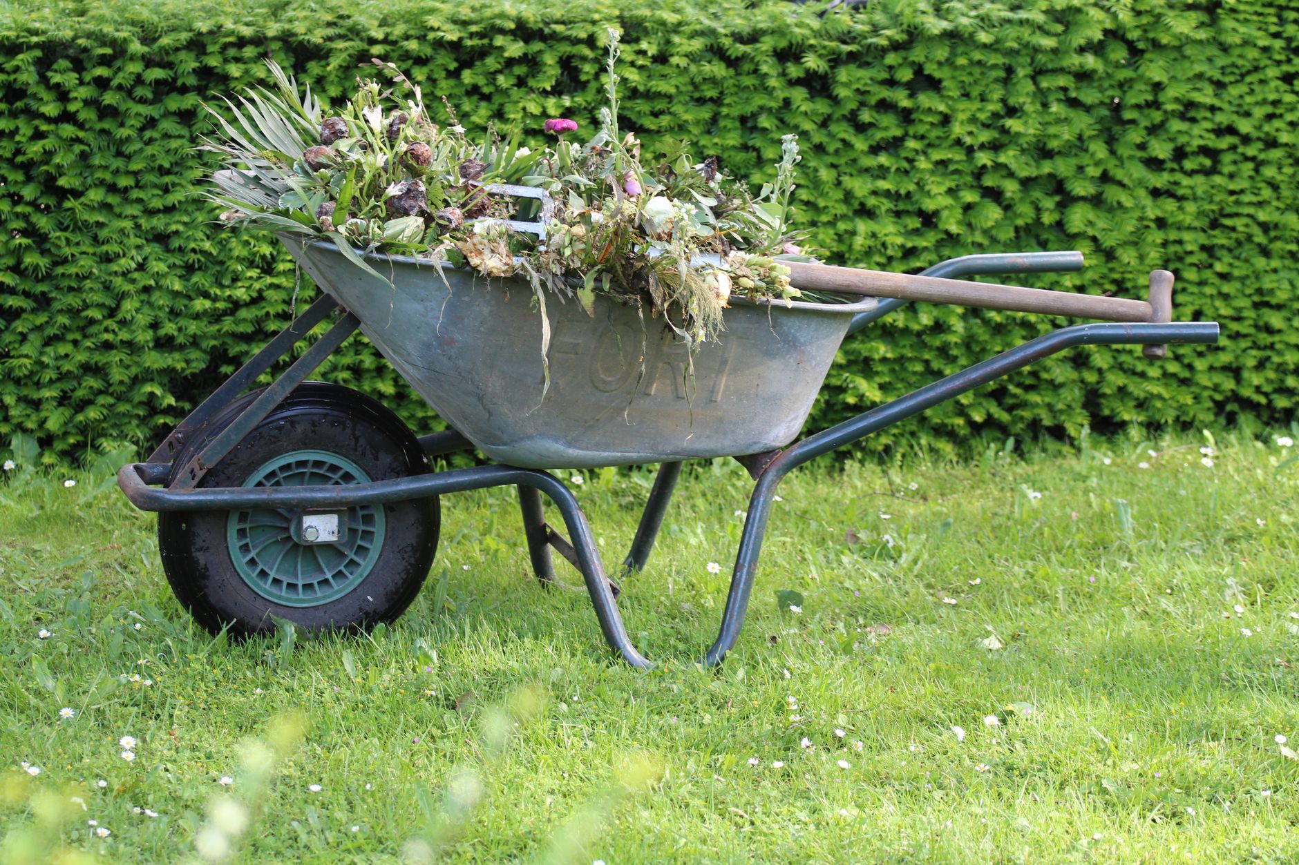 Désherbant naturel qui tue les racines : ce que l’on peut vraiment attendre des recettes maison — désherbant naturel jardin plantes