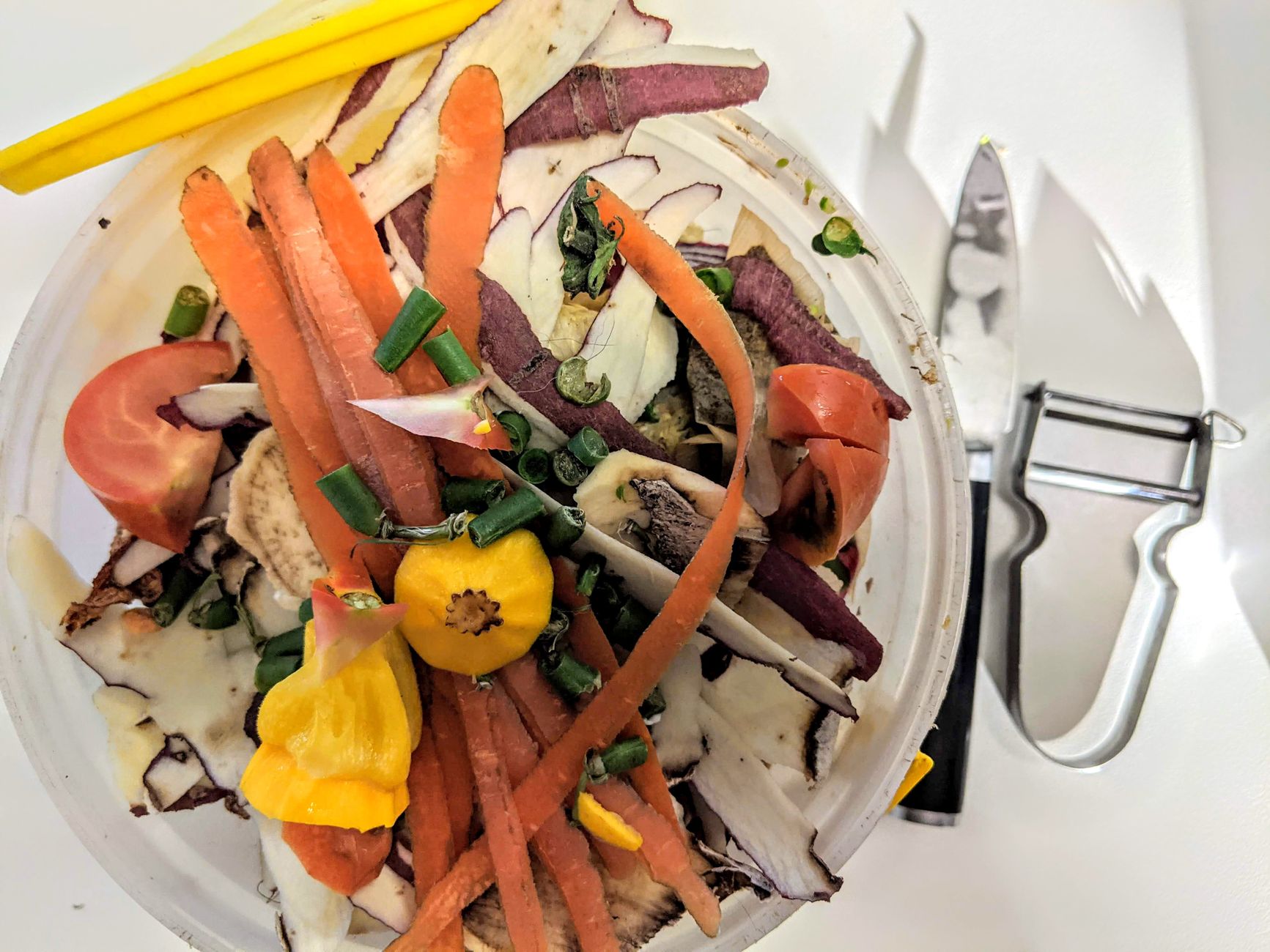 Compost et réduction des déchets : détourner ses biodéchets de la poubelle — tas de compost jardin légumes