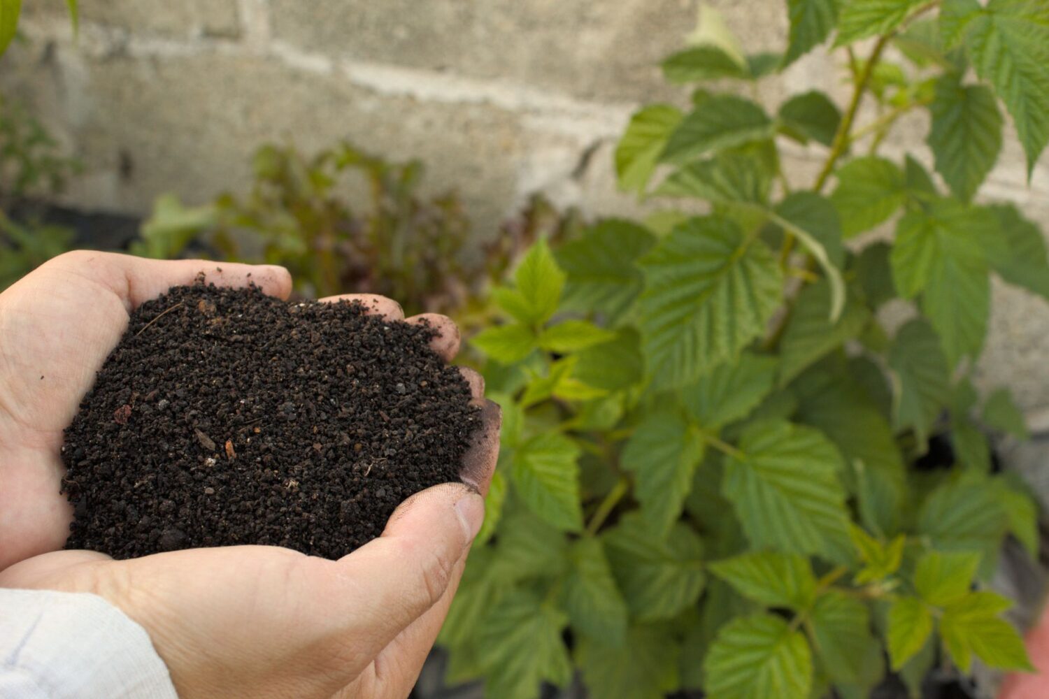 Pourquoi faire du compost : 5 bonnes raisons de s&rsquo;y mettre