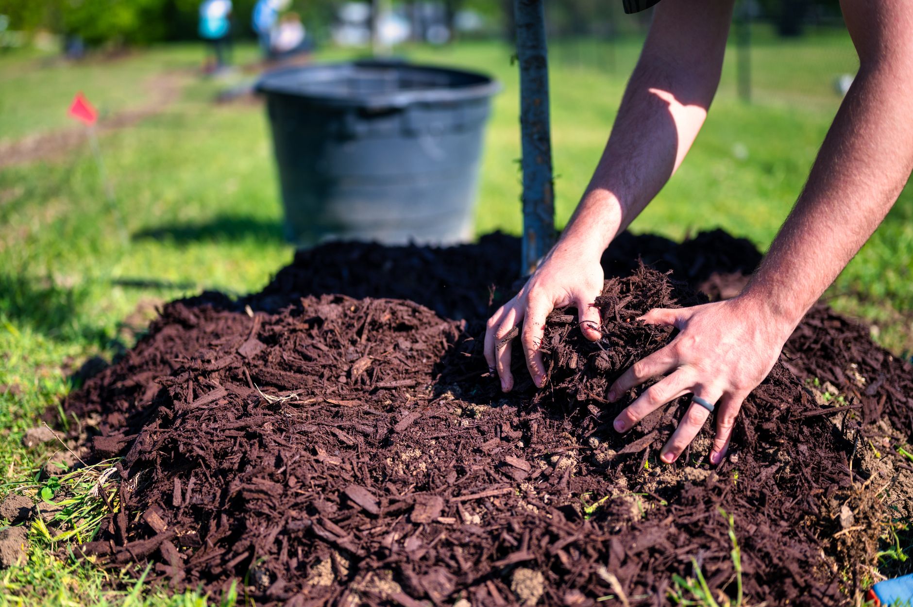 Quand enlever le paillage du potager au printemps selon le climat — enlèvement du paillage au printemps