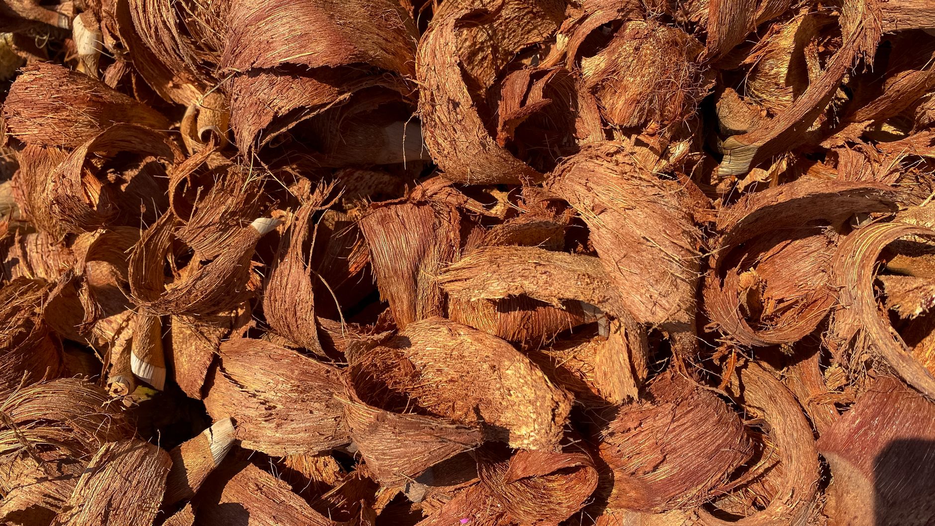 Que mettre au fond du composteur pour un démarrage compost réussi — couches de composteur matériaux bruns verts