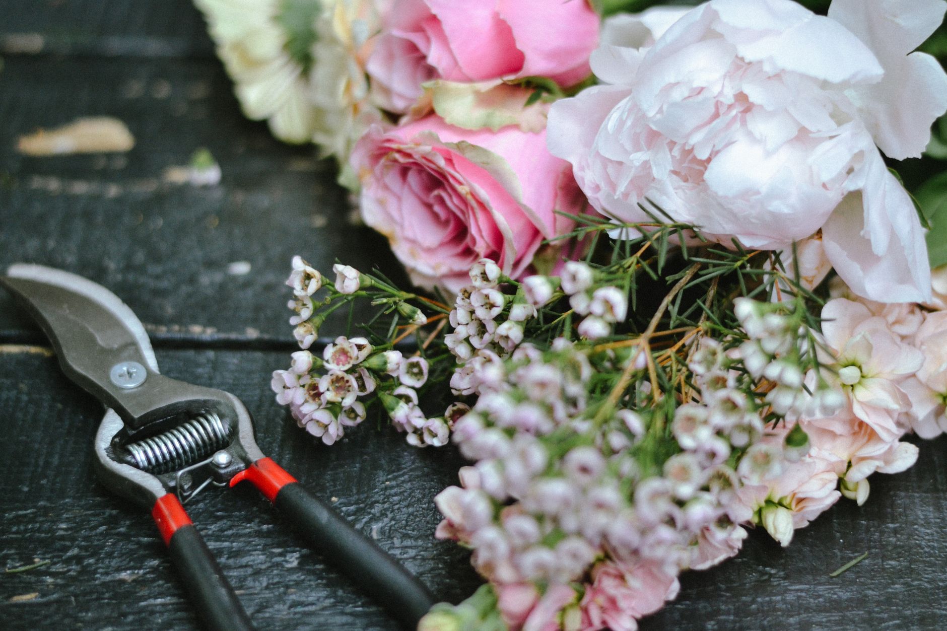 Taille des rosiers et période de taille idéale : lire les bourgeons plutôt que le calendrier — outils de taille rosiers jardin