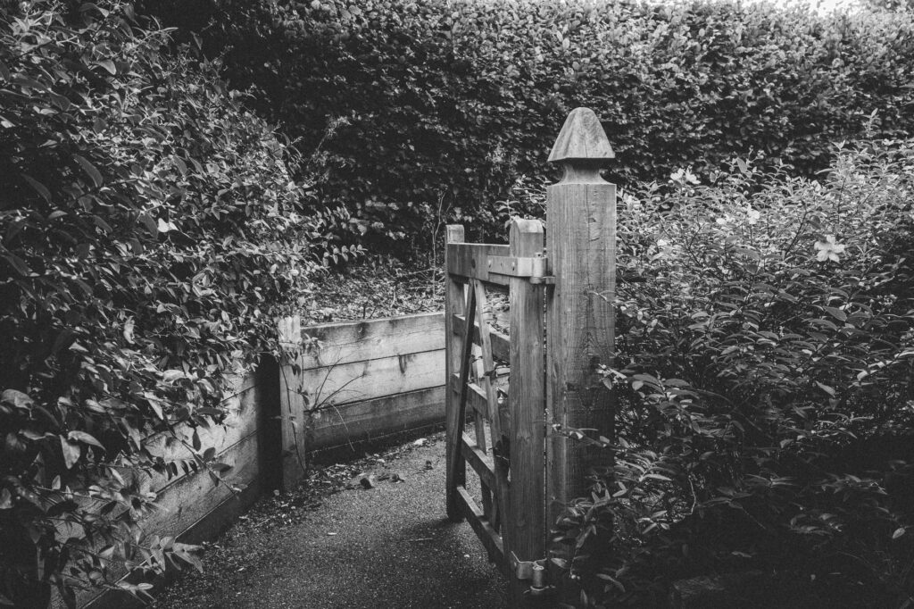 Un jardin plus calme atténuer — jardin barrière sonore plantes buissons