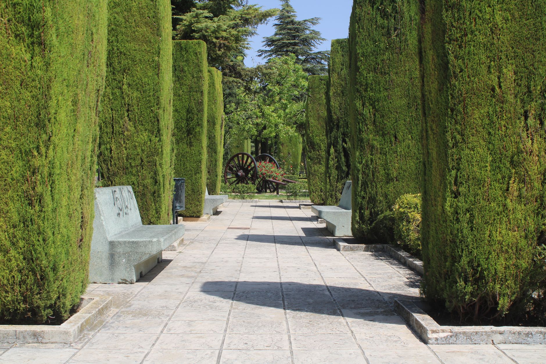 Haie de cyprès combien de — haie de cyprès jardin paysage