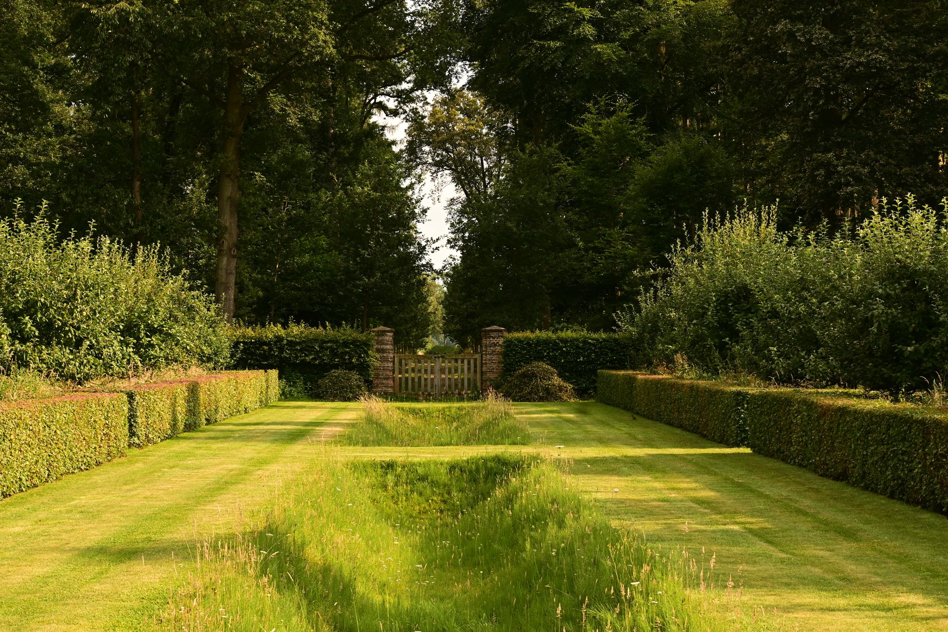 Haie vive définition, avantages et — haie verte luxuriante jardin