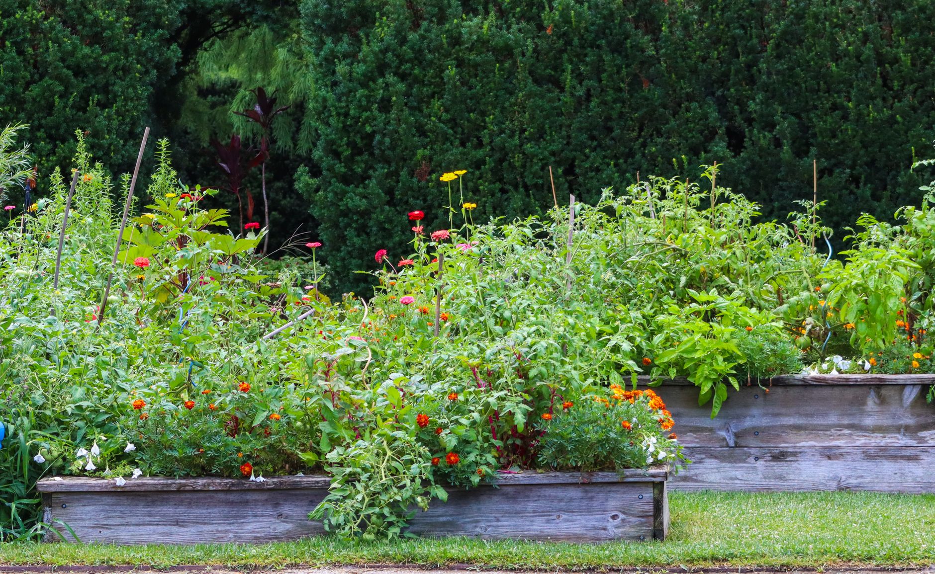 Jardinière sur pied et potager surélevé : comprendre le principe pour jardiner sans se baisser — jardinière sur pied avec légumes