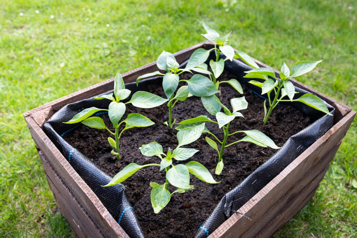 La jardinière sur pied, pour cultiver sans se baisser
