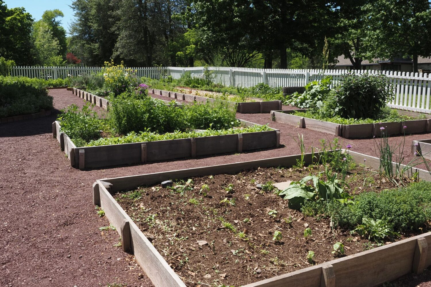 Fabriquer un bac potager en bois, béton ou sur palettes : tuto pas à pas