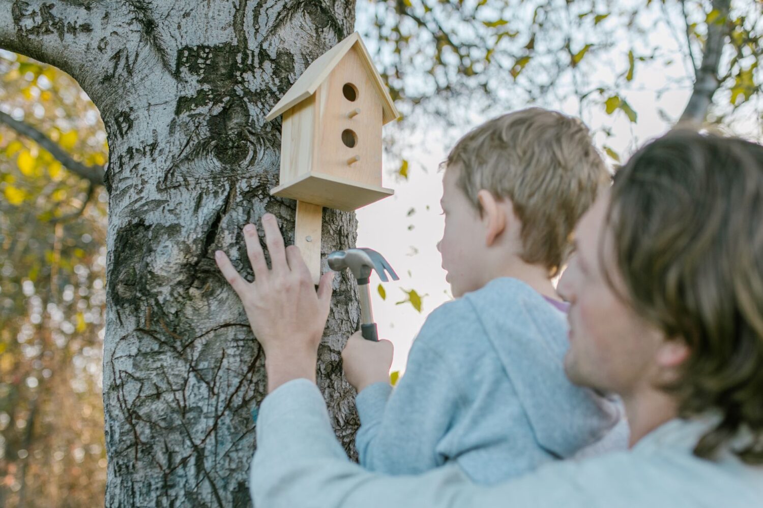 Fabriquer un nichoir à oiseaux soi-même : plans faciles, conseils et astuces