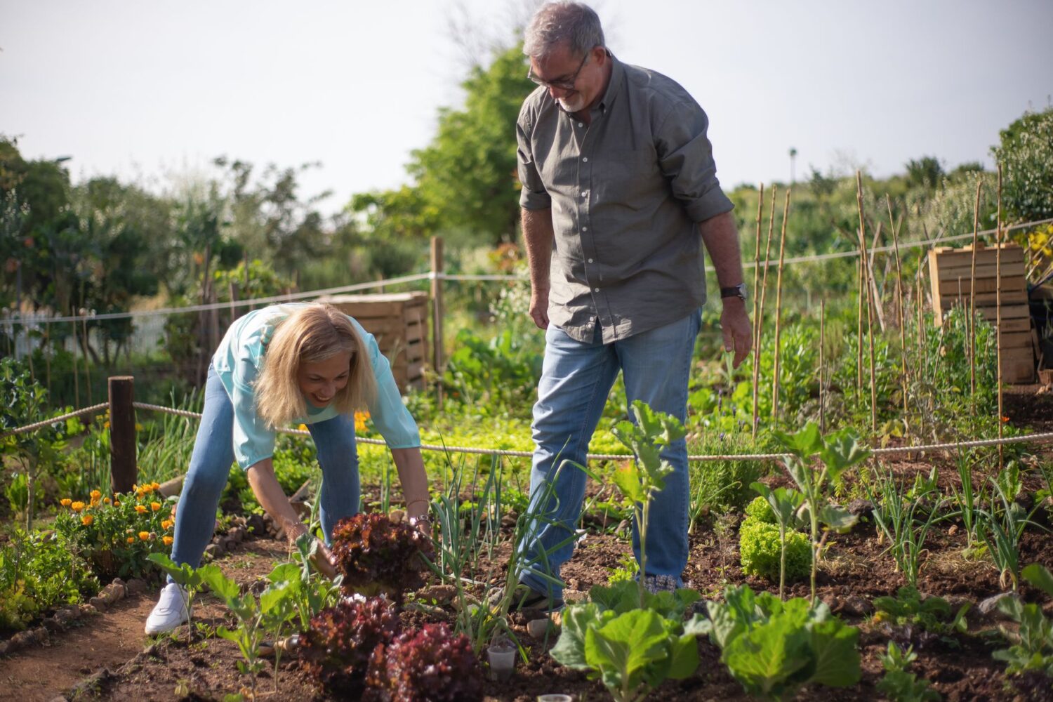 Faire son compost au jardin : méthodes, conseils et erreurs à éviter